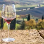 Quali sono i vini italiani più caratteristici?