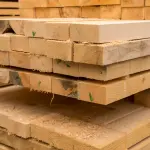 Noleggio delle pedane: quello che dovresti sapere